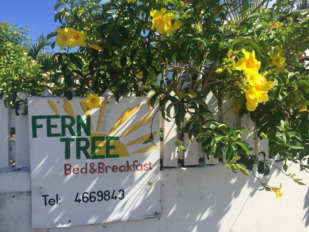 Fern Tree Bed And Breakfast Frigate Bay Exterior foto