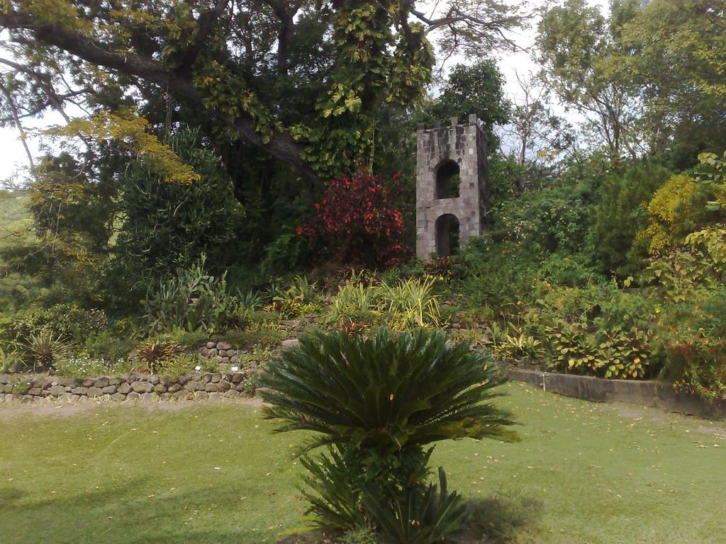 Fern Tree Bed And Breakfast Frigate Bay Exterior foto